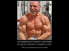 https://image.noelshack.com/fichiers/2013/50/1386717399-muscle.png