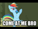 https://image.noelshack.com/fichiers/2013/50/1386780488-come-at-me-bro-rainbow-dash-31030597-500-310.gif