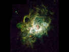 https://image.noelshack.com/fichiers/2013/50/1386947023-300px-nursery-of-new-stars-gpn-2000-000972.jpg