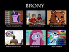 https://image.noelshack.com/fichiers/2013/50/1387047471-the-life-of-a-brony-by-michaelthebrony-d68qoan.jpg