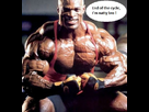 https://image.noelshack.com/fichiers/2013/50/1387107865-ronnie-coleman.jpg