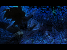 https://image.noelshack.com/fichiers/2013/50/1387145335-anime18.gif