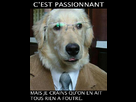 https://image.noelshack.com/fichiers/2013/51/1387202594-1374062504-chien.png