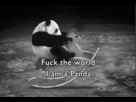 https://image.noelshack.com/fichiers/2013/51/1387213857-117380tumblrmc5jfinpfx1rywyg5.gif