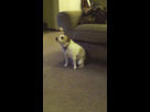 https://image.noelshack.com/fichiers/2013/51/1387311036-j-m-enfrottelecul.gif
