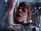 https://image.noelshack.com/fichiers/2013/51/1387569689-brach3.jpg