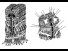 https://image.noelshack.com/fichiers/2013/51/1387574510-creeper-sheet-trame.png