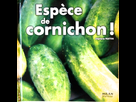 https://image.noelshack.com/fichiers/2013/51/1387644823-1.jpg