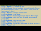 https://image.noelshack.com/fichiers/2013/52/1387797739-hack.png