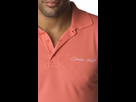 https://image.noelshack.com/fichiers/2013/52/1387820725-polo.jpg
