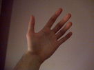 https://image.noelshack.com/fichiers/2013/52/1388011139-img-20131225-00661.jpg