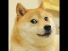 https://image.noelshack.com/fichiers/2013/52/1388017072-doge.png