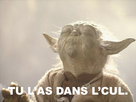 https://image.noelshack.com/fichiers/2014/01/1388795480-tulasdanslcul.png
