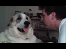 https://image.noelshack.com/fichiers/2014/01/1388925060-fuck-off.gif