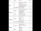 https://image.noelshack.com/fichiers/2014/01/1419848788-programme.png