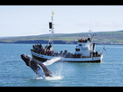 https://image.noelshack.com/fichiers/2014/01/1419905011-husavik.jpg