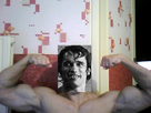 https://image.noelshack.com/fichiers/2014/02/1389095738-snapshot-20131005-2.jpg