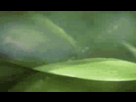 https://image.noelshack.com/fichiers/2014/02/1389124279-escargot.gif