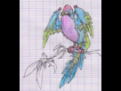 https://image.noelshack.com/fichiers/2014/02/1389194708-oiseau.png