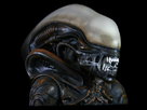 https://image.noelshack.com/fichiers/2014/02/1389281389-alien.jpeg