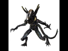 https://image.noelshack.com/fichiers/2014/02/1389442601-aliens-colonial-marines-play-arts-kai-figurine-lurker-21-cm.jpg