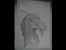 https://image.noelshack.com/fichiers/2014/02/1389486885-dragon.jpg