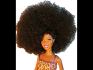 https://image.noelshack.com/fichiers/2014/03/1389983131-natural-hair-dolls-la-poupee-qui-botte-les-fesses-de-barbie-exact780x1040-p1.jpg