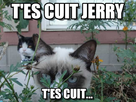 https://image.noelshack.com/fichiers/2014/03/1389987581-grumpy-cat-plotting-meme-www-memegen-fr.jpg