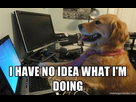https://image.noelshack.com/fichiers/2014/03/1390143302-i-have-no-idea-what-im-doing-dog.jpg