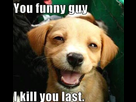 https://image.noelshack.com/fichiers/2014/04/1390490694-dog-youre-funny.jpg