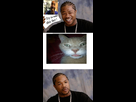 https://image.noelshack.com/fichiers/2014/05/1391125055-1273425678-xzibit-vs-hap-02.jpg