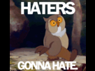 https://image.noelshack.com/fichiers/2014/05/1391347577-hater.gif