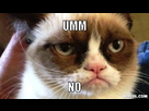 https://image.noelshack.com/fichiers/2014/06/1391447998-grumpy-cat-meme-generator-umm-no-ee8f7d.jpg