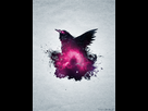 https://image.noelshack.com/fichiers/2014/06/1391547611-corbeau-splash.jpg