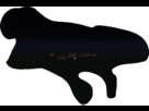 https://image.noelshack.com/fichiers/2014/06/1391885541-testcapture.png