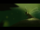 https://image.noelshack.com/fichiers/2014/06/1391894553-bug.jpg