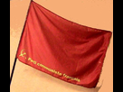 https://image.noelshack.com/fichiers/2014/06/1391960545-drapeau-coco-1.jpg