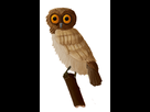 https://image.noelshack.com/fichiers/2014/06/1391962946-chouette2.png