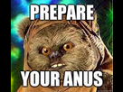 https://www.noelshack.com/2014-06-1391969374-prepare-your-anus.jpg