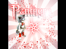 https://image.noelshack.com/fichiers/2014/06/1391975040-panthere.jpg