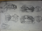 https://image.noelshack.com/fichiers/2014/07/1392144772-dscn1383.jpg