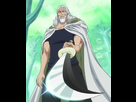 https://image.noelshack.com/fichiers/2014/07/1392403508-silvers-rayleigh-anime-infobox.png