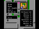 https://image.noelshack.com/fichiers/2014/07/1392420488-mages-gaiden-003.png
