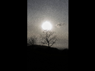 https://image.noelshack.com/fichiers/2014/07/1392489413-arbre-ensolleile.jpg