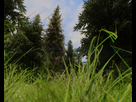 https://image.noelshack.com/fichiers/2014/07/1392554139-tesv-2014-02-16-13-18-31-55.jpg