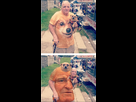 https://image.noelshack.com/fichiers/2014/07/1392581243-1888695-217417525130354-490004001-n.png