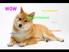 https://image.noelshack.com/fichiers/2014/08/1393098471-pronounce-doge4-jpg-crop-promovar-mediumlarge.jpg