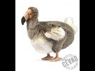 https://image.noelshack.com/fichiers/2014/08/1393153605-peluche-dodo-35-cm-ref-an5028.jpg