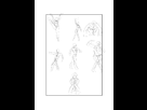 https://image.noelshack.com/fichiers/2014/08/1393162038-gesture-drawing-m.jpg