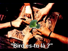 https://image.noelshack.com/fichiers/2014/09/1393262789-espritbird.jpg